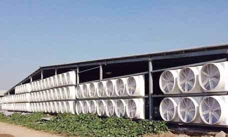 负压风机通风降温 负压风机通风降温